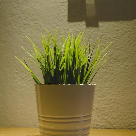 Papagalos Hotel Neos Marmaras