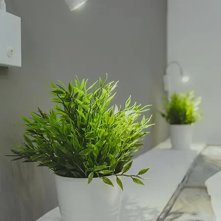 Papagalos 2* Neos Marmaras