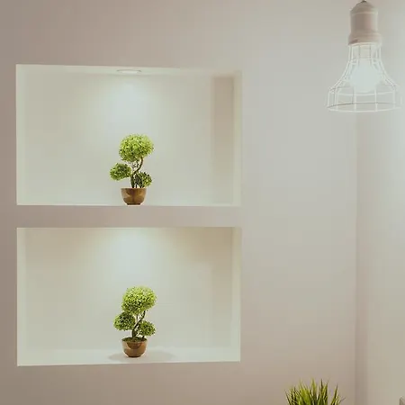 Papagalos Неос-Мармарас