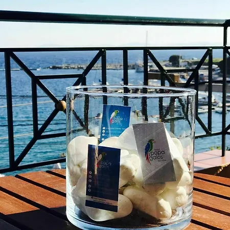 帕帕加罗斯酒店 酒店