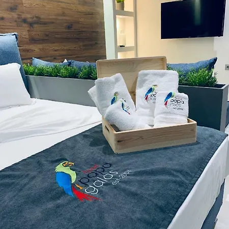 Hotel Papagalos Néos Marmarás