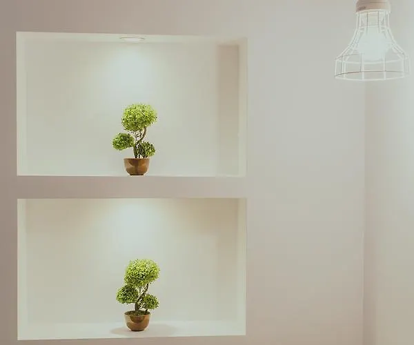 Papagalos Neos Marmaras