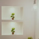 Papagalos Neos Marmaras