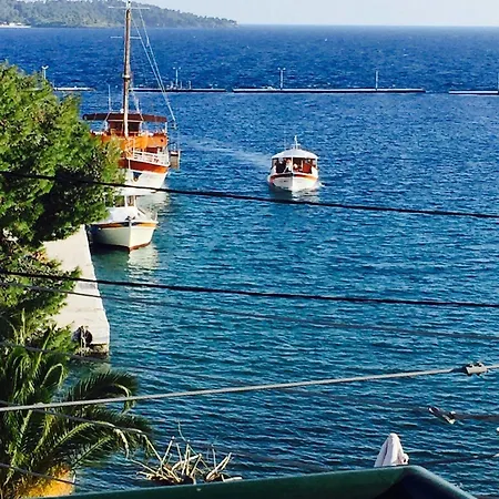 Hotel Papagalos