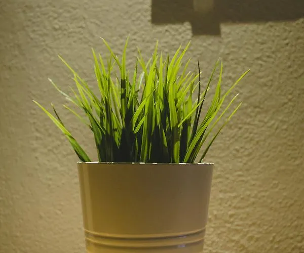 Papagalos Hotel Neos Marmaras