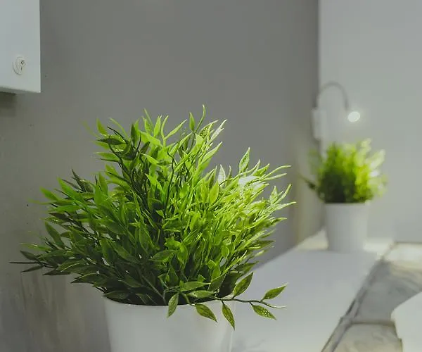 Papagalos 2* Neos Marmaras